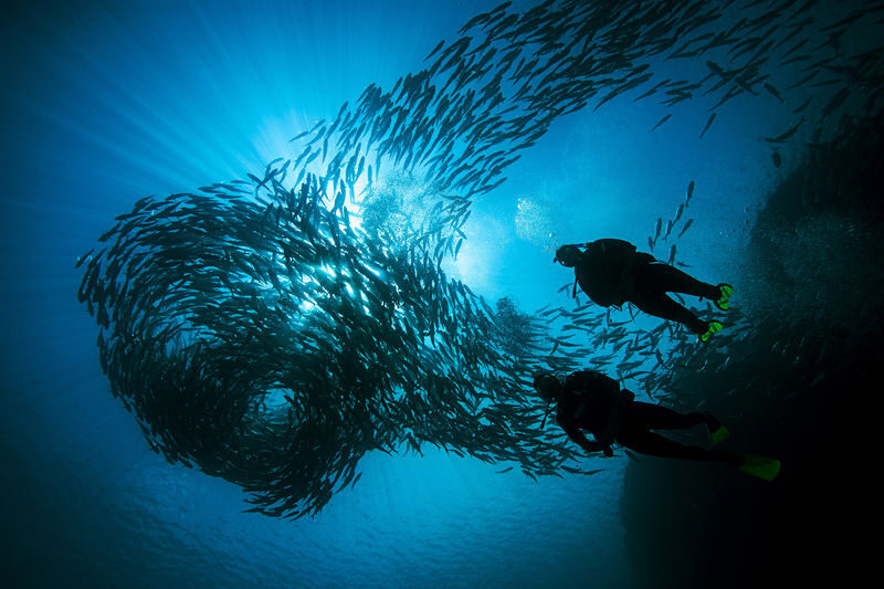 Sunrise Dive in Boracay: Start at 8AM with PADI Center - Picking a Boracay site