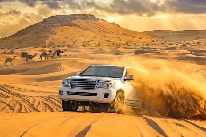 Sunrise Early Morning Desert Safari With Refreshments - Reviews and Ratings Overview