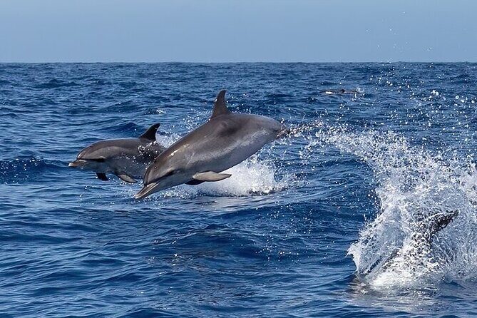 Sunrise EN the Ocean - Frequently Asked Questions