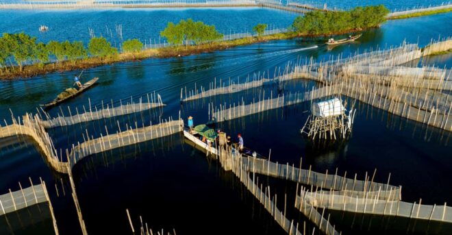 Sunrise Floating Market on Tam Giang Lagoon - Pricing Information