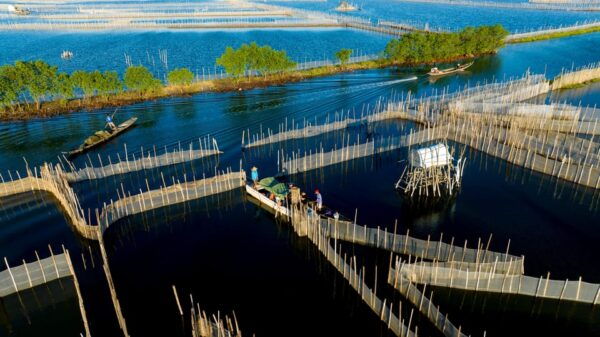 Sunrise Floating Market on Tam Giang Lagoon - Important Policies