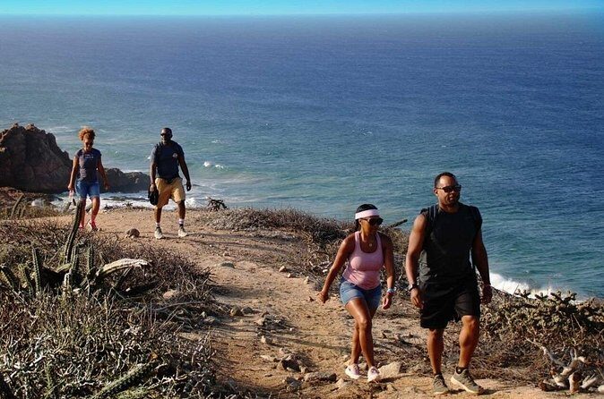Sunrise Guided Desert Hike in Los Cabos - Practical Details: Transportation, Timing, and Group Size