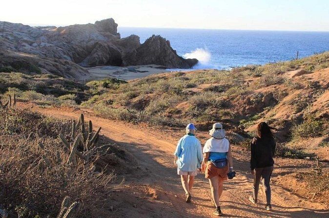 Sunrise Guided Desert Hike in Los Cabos - FAQ