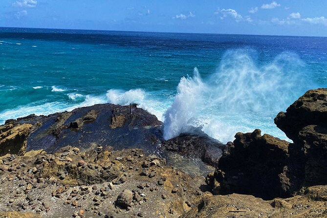 Sunrise Hike at Makapuu Lighthouse Trail - Wildlife and Flora Along the Trail