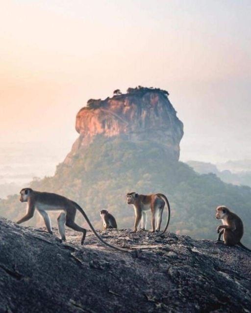 Sunrise Hike to Sigiriya Pidurangala Rock - Hike Overview