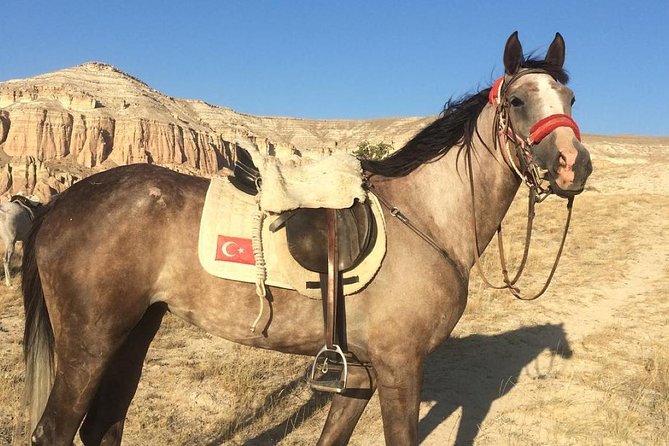 Sunrise Horsebackriding Tour in Cappadocia - Pricing and Policies