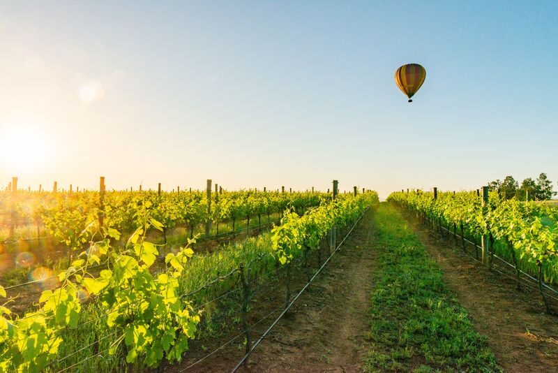 Sunrise hot air balloon with bubbly breakfast+photo in Hunter Valley - At a glance: what makes this flight worth considering