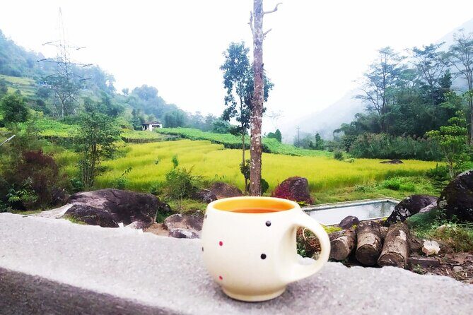 Sunrise in Darjeeling - Introduction to the Darjeeling Sunrise Tour