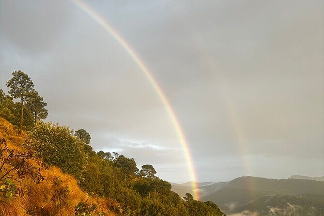 Sunrise in Las Alturas Hiking in El Pico del Aguila Tlalpan - Who Will Love This Tour?