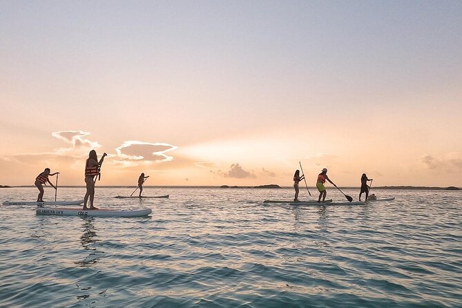 Sunrise in Paddle With Picnic in Front of the Bird Sanctuary - Additional Information