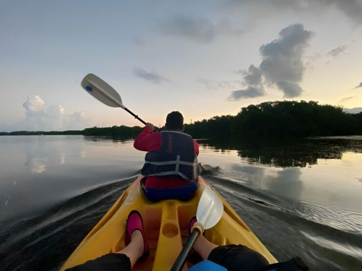 Sunrise Kayak Tour by Wayak Tour - Experience Highlights