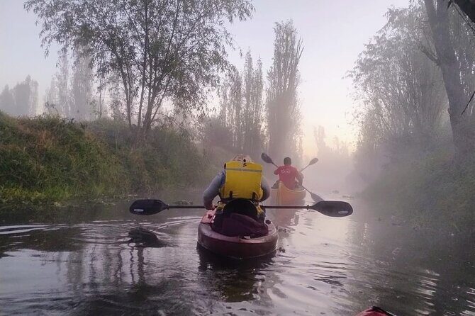Sunrise Kayak Tour in Xochimilco - What to Expect From the Tour