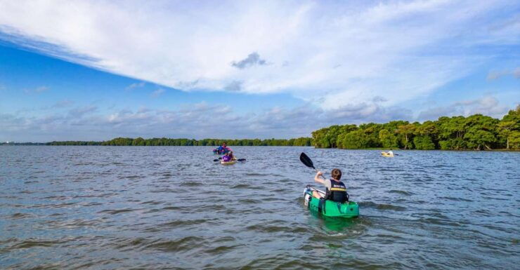 Sunrise Kayaking on the Negombo Lagoon - Experience Highlights