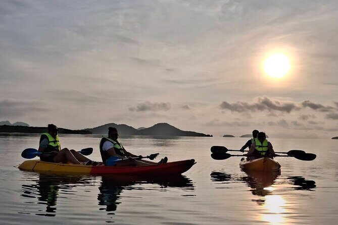 Sunrise Mangrove Boat and Kayak Tour - Good To Know