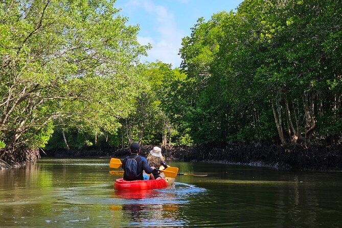 Sunrise Mangrove Boat and Kayak Tour - Frequently Asked Questions