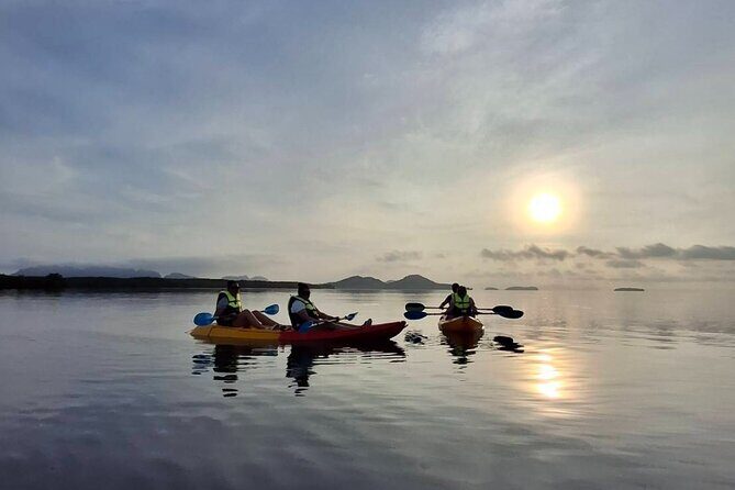 Sunrise Mangrove Boat and Kayak Tour - What to Expect from the Sunrise Mangrove Tour