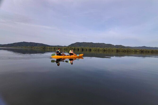 Sunrise Mangrove Boat and Kayak Tour - Final Thoughts
