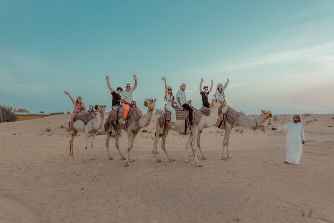 Sunrise/Morning Dune Drive With Camel Trek & Sand Surfing - Helpful Reviews and Ratings