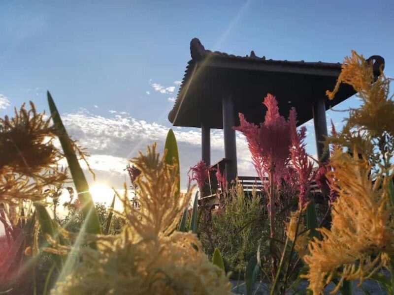 Sunrise mount Ireng, Jomblang Cave & Timang Beach 4x4WD Tour - Introduction