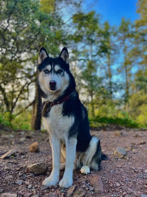Sunrise on the heights: Pico del Águila. Mexico City. - Good To Know