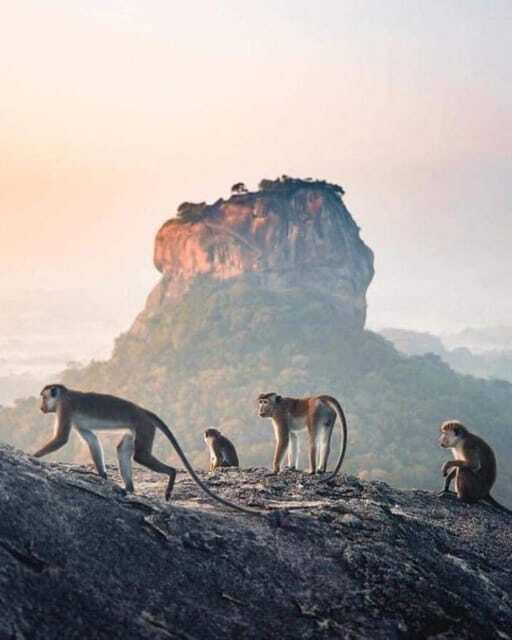 Sunrise or Sunset Tour to Pidurangala Rock with Scenic Views - FAQs