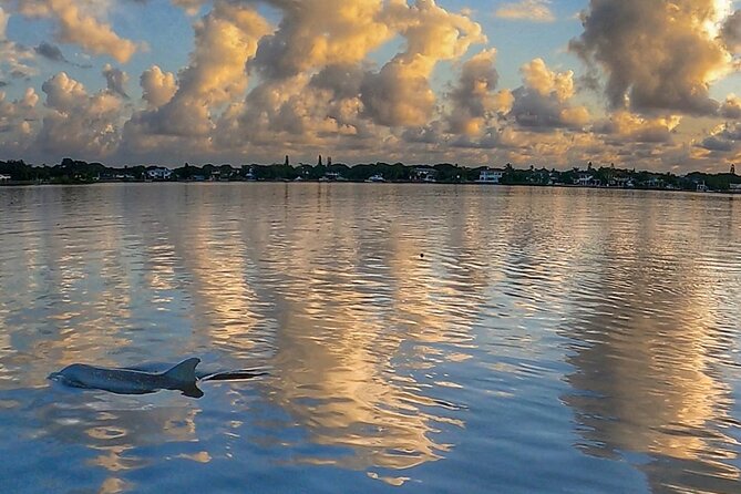 Sunrise Paddle Boarding Adventure in Jupiter - The Sum Up