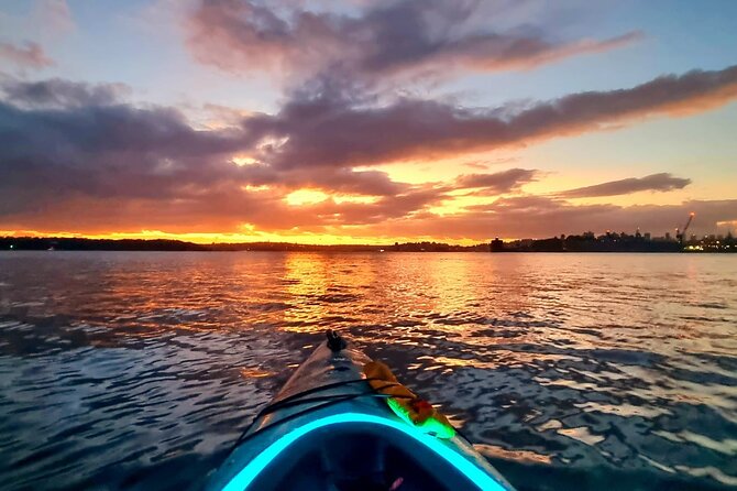 Sunrise Paddle Session on Syndey Harbour - Activity Details