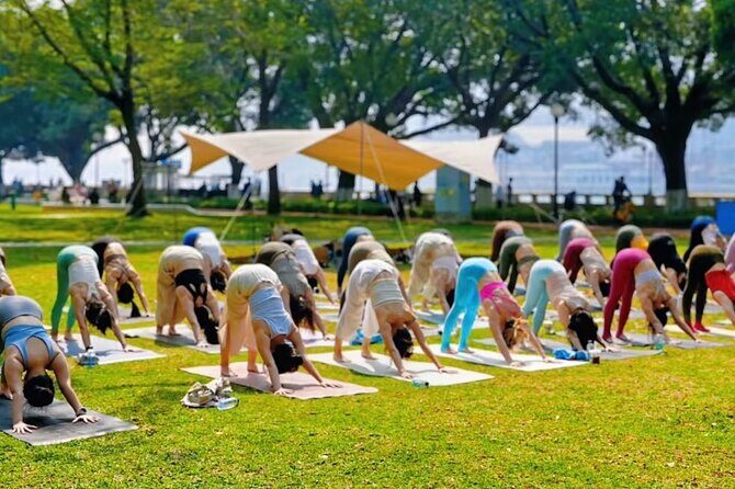 Sunrise Patong Beach Yoga - Who Will Love This Yoga Experience?