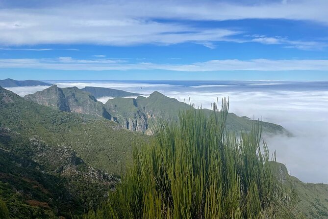 Sunrise: Pico Areeiro Pico Ruivo Hiking Adventure PR1 and PR1.2 - Cancellation Policy