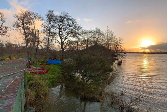 Sunrise Sea Kayaking Tour in Auckland - Limited Group Size for Personalized Experience