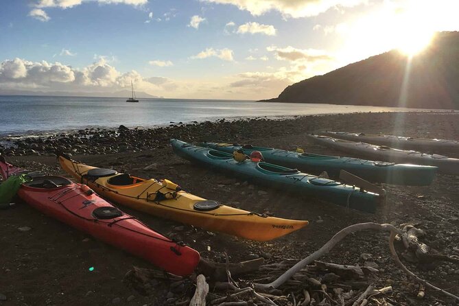 Sunrise Sea Kayaking Tour in Auckland - Important Information and Accessibility