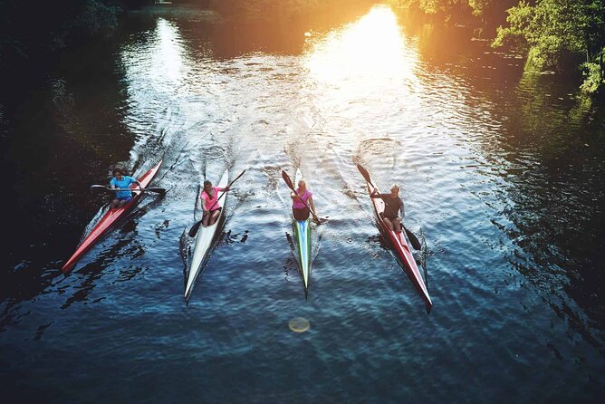 Sunrise Sea Kayaking Tour in Auckland - Common Questions