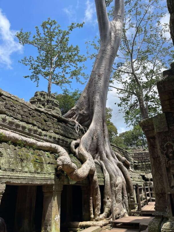 Sunrise Shared Tour in Angkor from Siem Reap - An In-Depth Look at the Tour