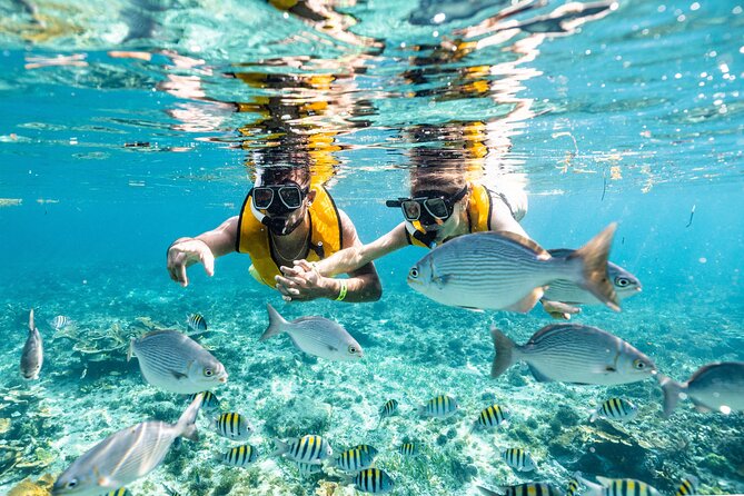 Sunrise Snorkeling Experience in Cancun - Additional Info