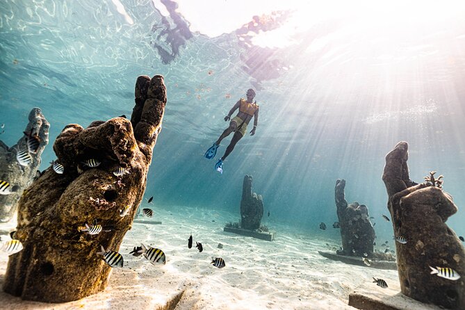 Sunrise Snorkeling Experience in Cancun - Common Questions