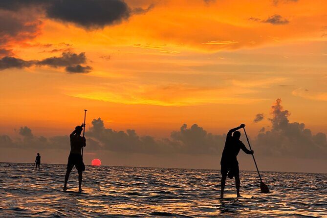 Sunrise Stand Up Paddle activity on a privileged beach. - Sunrise Stand Up Paddle Activity on a Privileged Beach: A Detailed Look