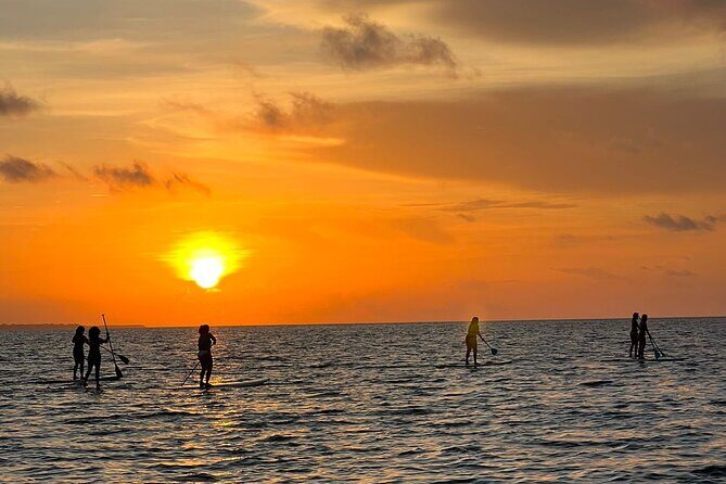 Sunrise Stand Up Paddle activity on a privileged beach. - The Experience in Detail: What to Expect