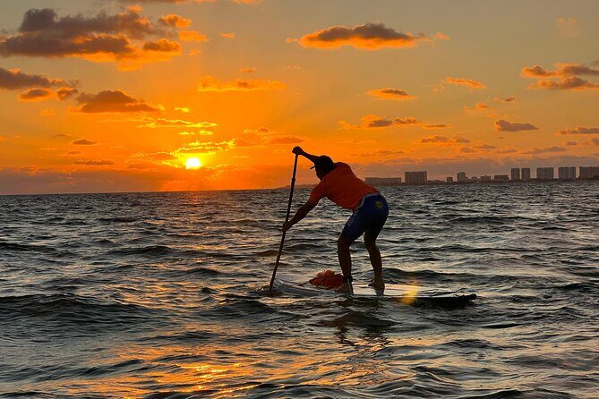 Sunrise Stand Up Paddle activity on a privileged beach. - Who Will Love This Experience?