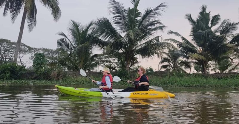 Sunrise / Sunset Backwater Village Kayaking Tour (Nedumudy) - Who Should Consider This Tour?