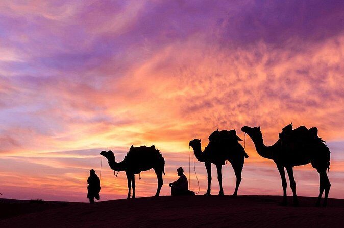 Sunrise/Sunset Desert Camel Ride AmazingJaisalmer - Authentic Experiences and Insights from Reviews