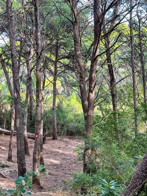 Sunrise & Sunset Hike with Picnic Mala Petka, Dubrovnik - Good To Know