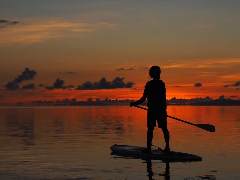 Sunrise SUP & Canoe Tour Experience (Iriomote Island, Okinawa) - From Uehara Port to the mangroves