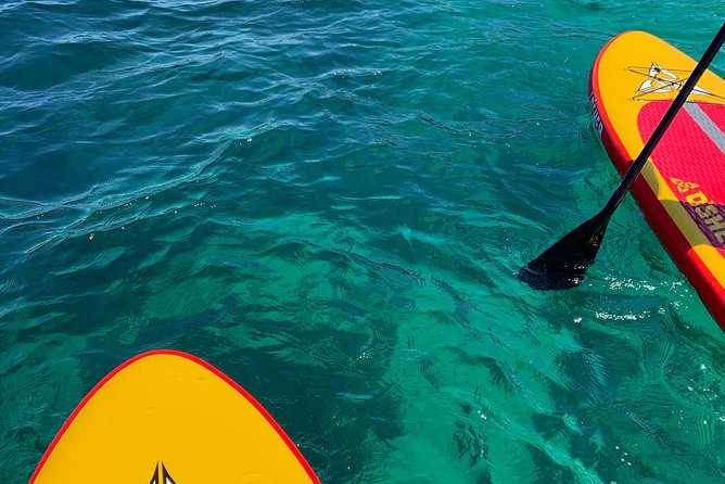 Sunrise SUP Tour & Breakfast - Private Stand up Paddle Boarding Experience - Contact Information and Support for Further Inquiries