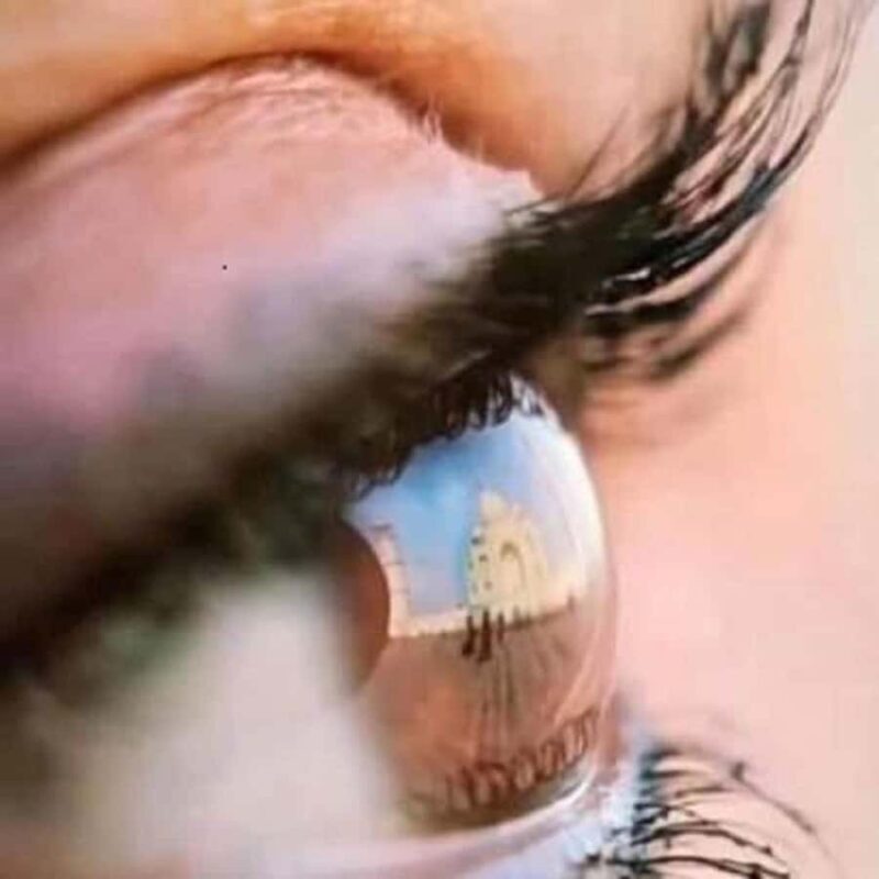 Sunrise Taj Mahal Tour By Official Tour Guide. - FAQ