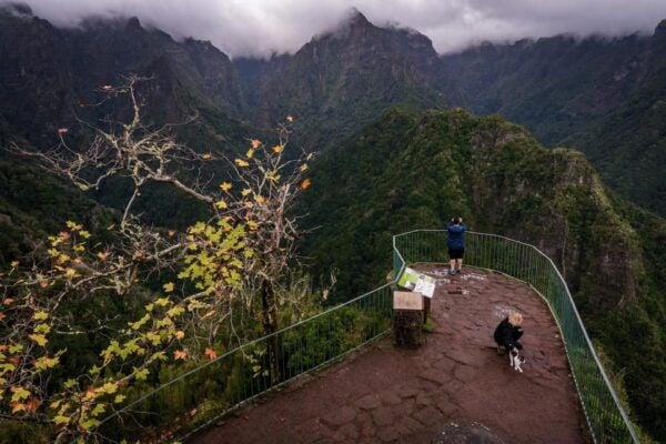 Sunrise Tour @ Pico Do Areiro | Half Day 4x4 Tour - Customer Feedback