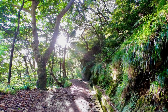 Sunrise Tour @ Pico Do Areiro | Half Day 4x4 Tour - Reviews