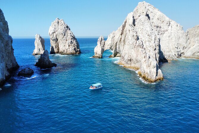 Sunrise Whale Watching boat tour with marine biologist - An Honest Look at the Sunrise Whale Watching Tour