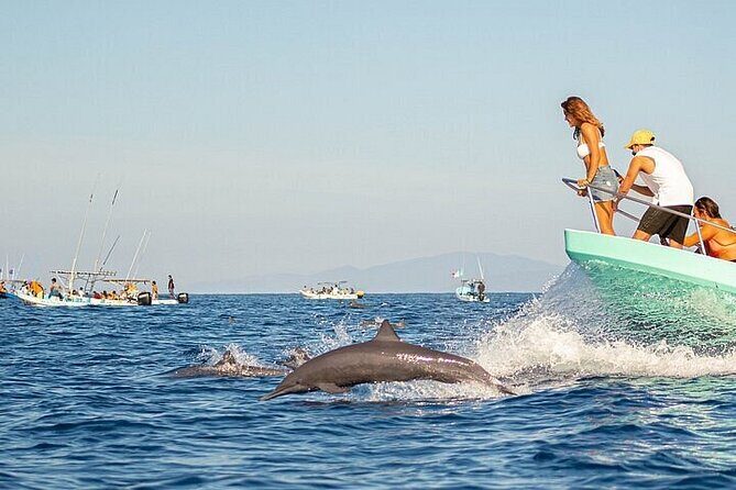 Sunrise with stars and Dolphin sighting in Puerto Escondido! - Sunrise with Stars and Dolphin Sighting in Puerto Escondido! 