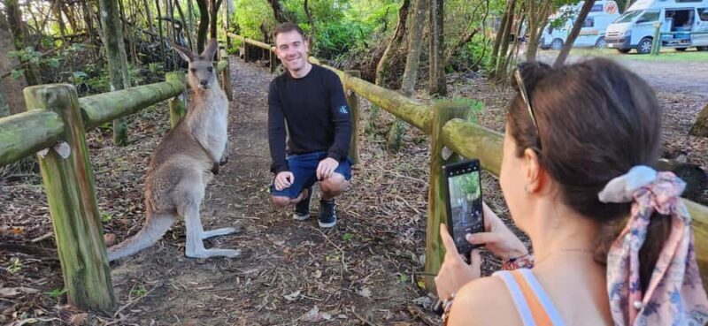 Sunrise with the Kangaroos & Wallabies - Airlie Beach - FAQs