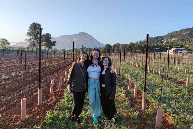 Sunset Among the Vineyards With Tasting in Alicante (6-12 People) - Tour Highlights